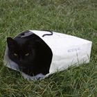 "Katze im Sack"