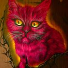 Katze in rot