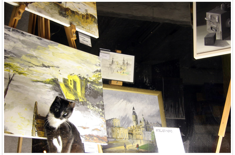 Katze in Schaufenster von Philipp Raasch