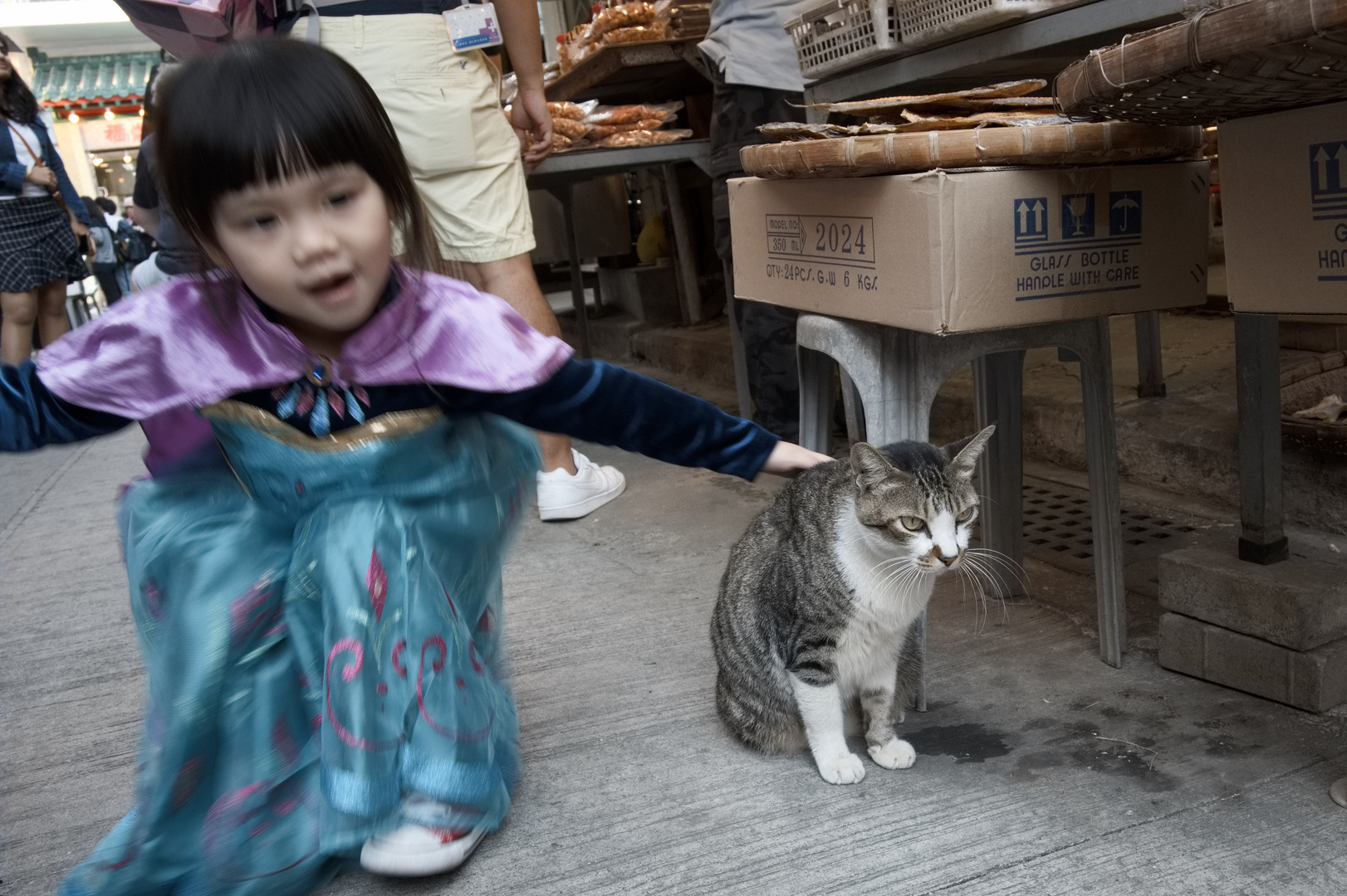 Katze in Tai O Village