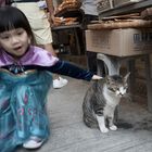 Katze in Tai O Village