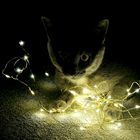 Katze mit Lichterkette