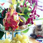 Katze mit Obst