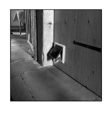 Katze Salm Jeanrele Klappe