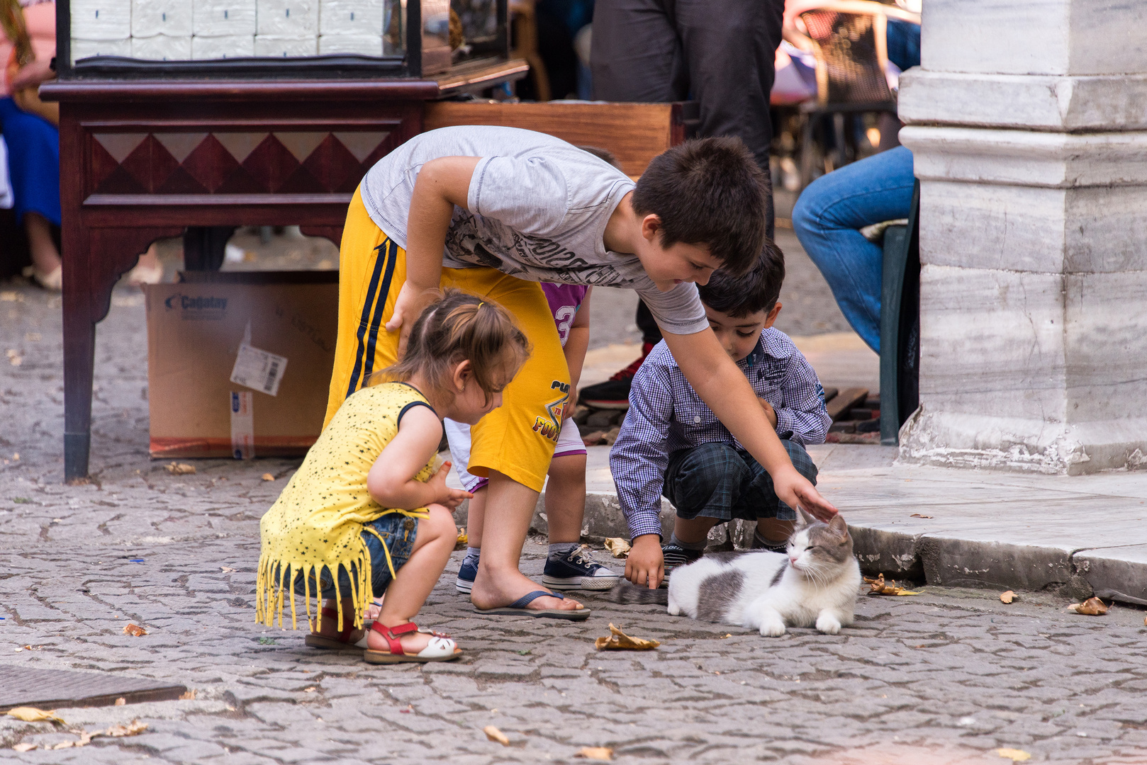 Katze und Kinder