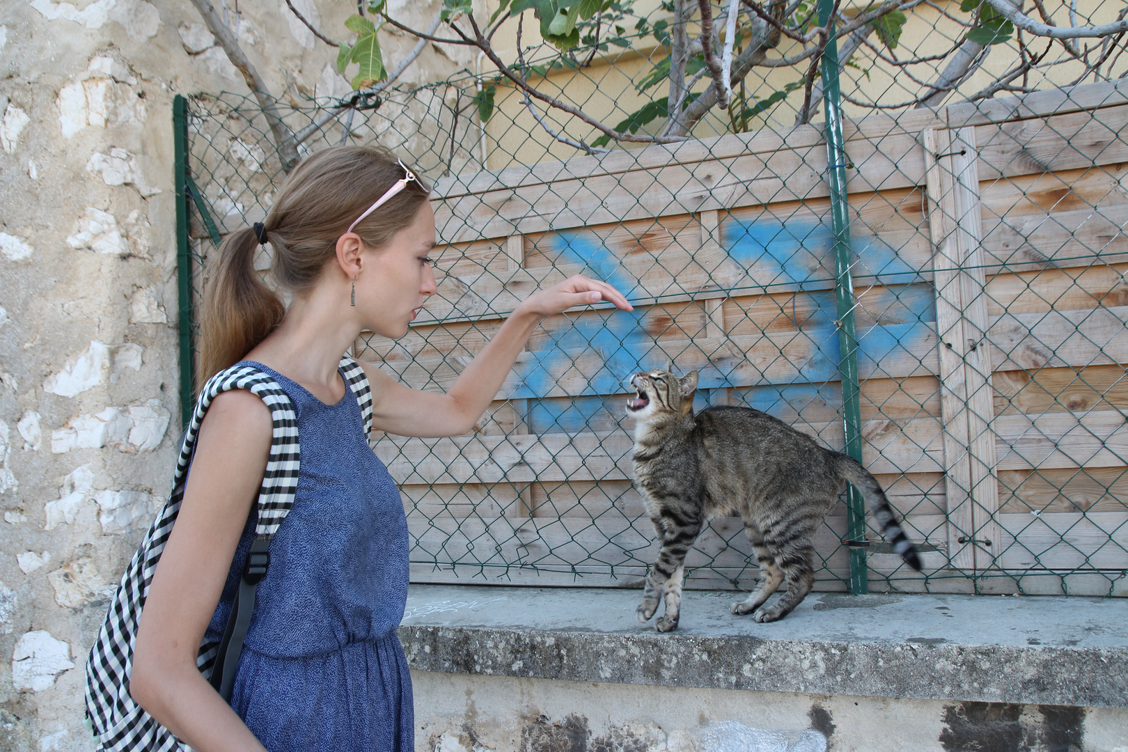 Katze, warum magst Du die schöne Frau nicht ? ;-)