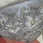 Katzen auf Stein gemalt