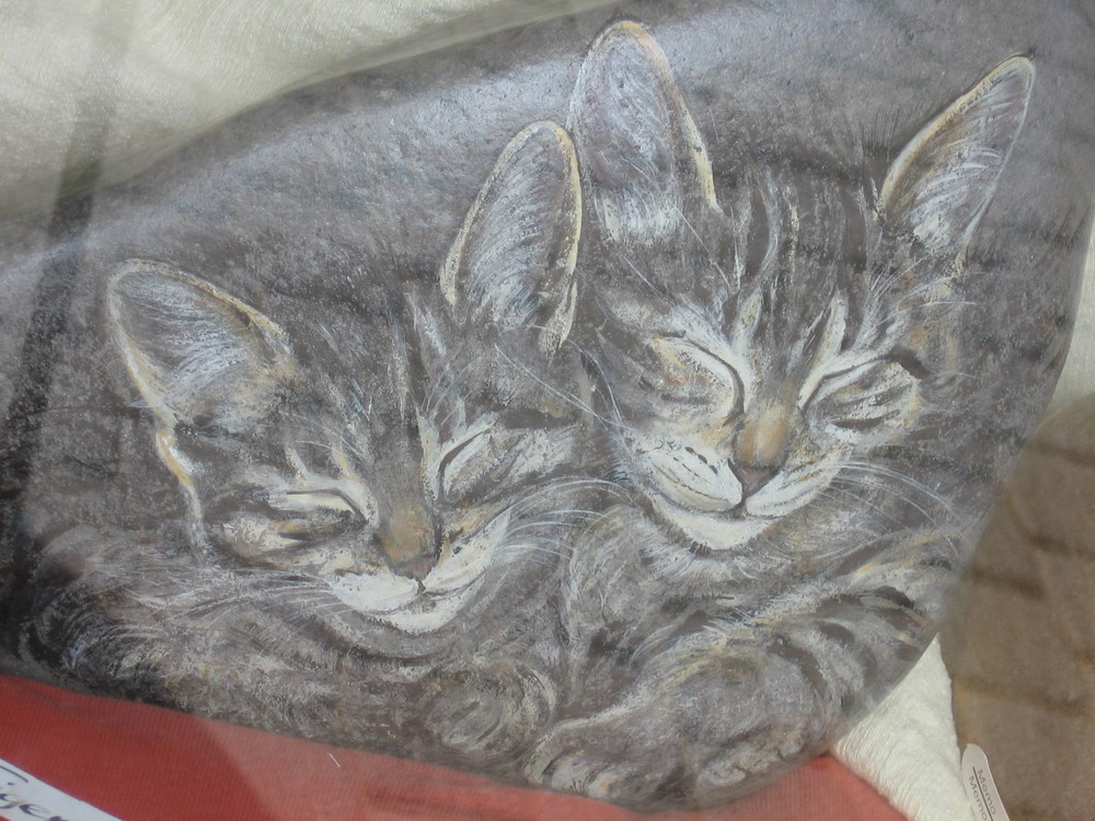 Katzen Auf Stein Gemalt Foto Bild Natur Tiere Youth Bilder Auf Fotocommunity