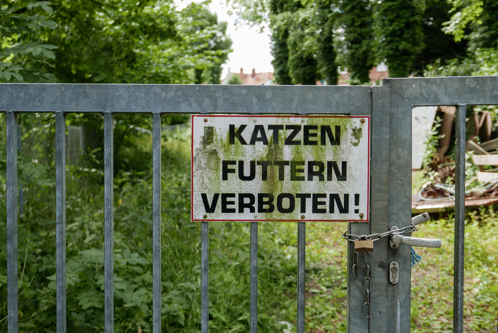 Katzen futtern verboten!