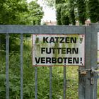 Katzen futtern verboten!