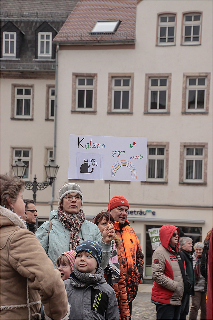 Katzen gegen rechts