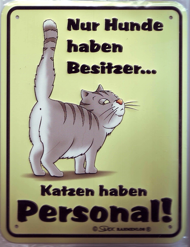 Katzen haben Personal