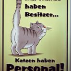 Katzen haben Personal