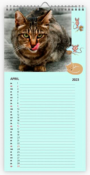 Katzen-Kalender