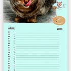 Katzen-Kalender