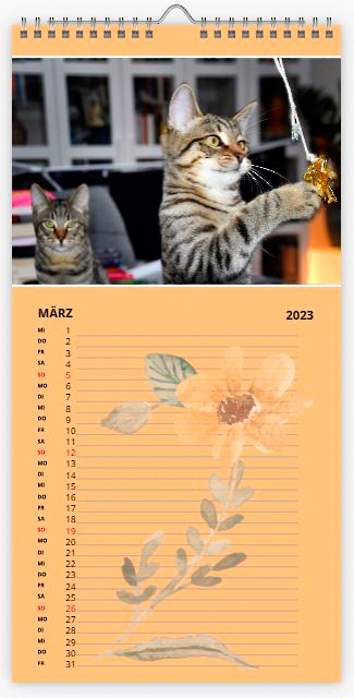 Katzen Kalender März