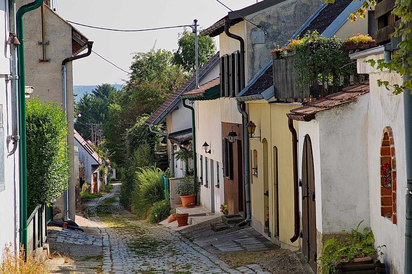 Katzen-Kellergasse