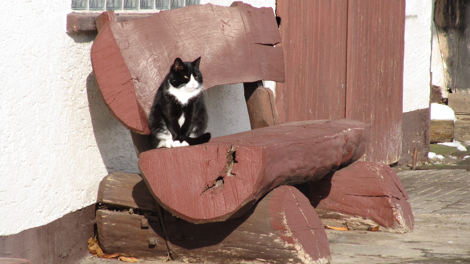 Katzen sind eben auch nur Menschen.