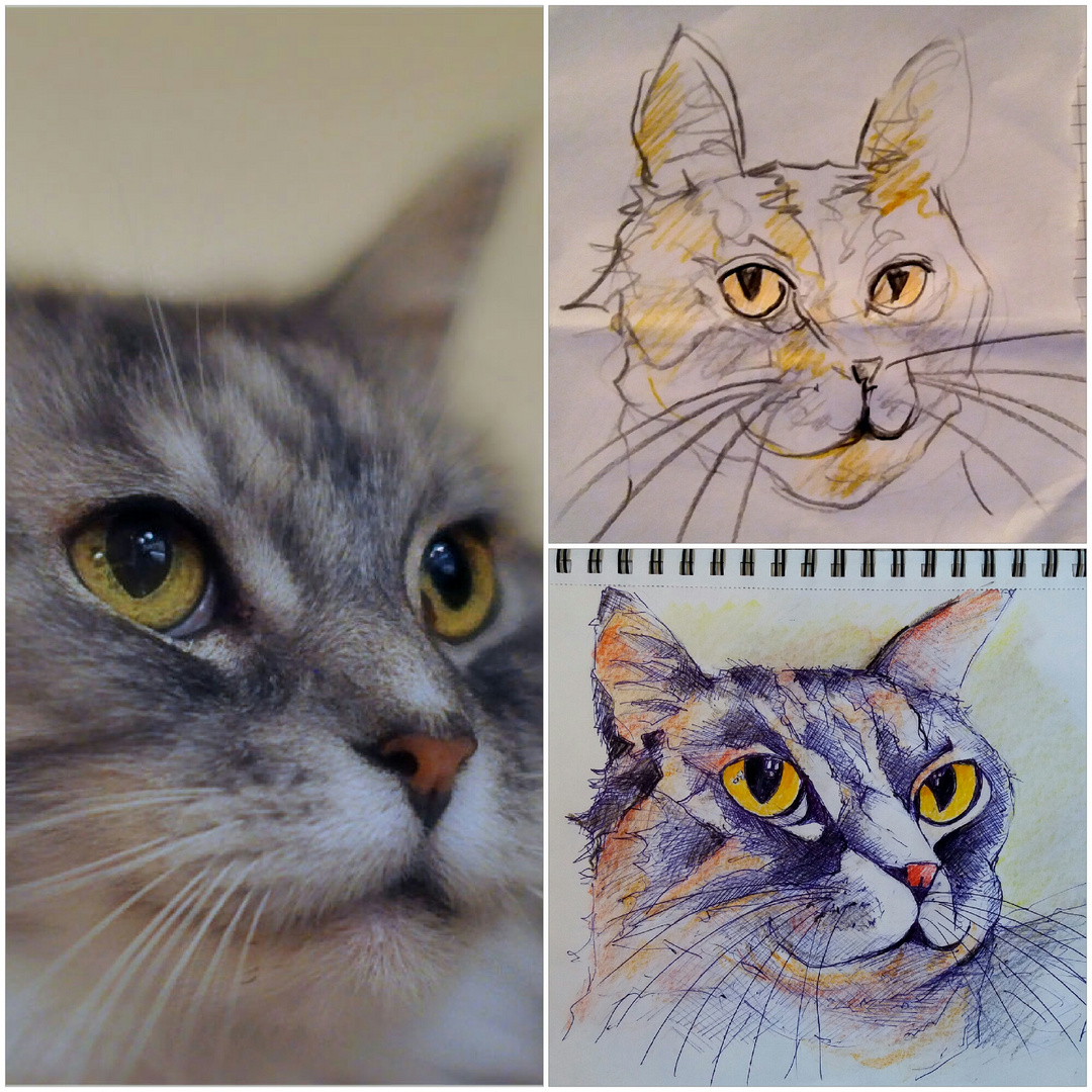 Katzen-Skizzen.... Foto & Bild | grafik, zeichnen, bleistift Bilder auf