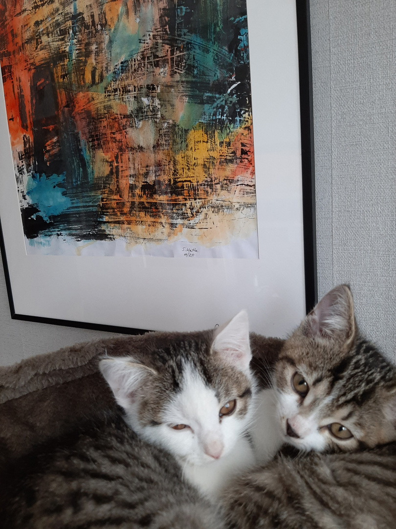 Katzen und die Kunst