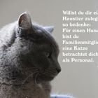 Katzen und ihr Personal