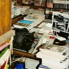 Katzen und Literatur...