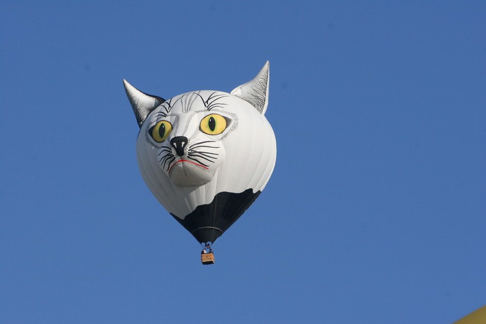 Katzenballon