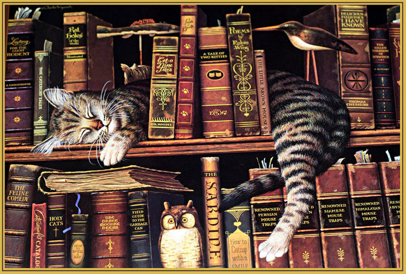 Katzenbibliothek