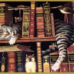 Katzenbibliothek