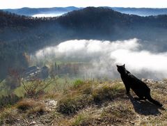 Katzenblick ins Wannental