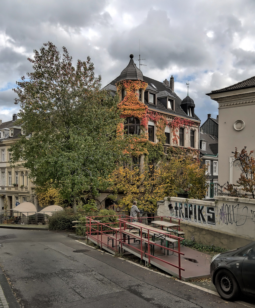 Katzengold im Luisenviertel