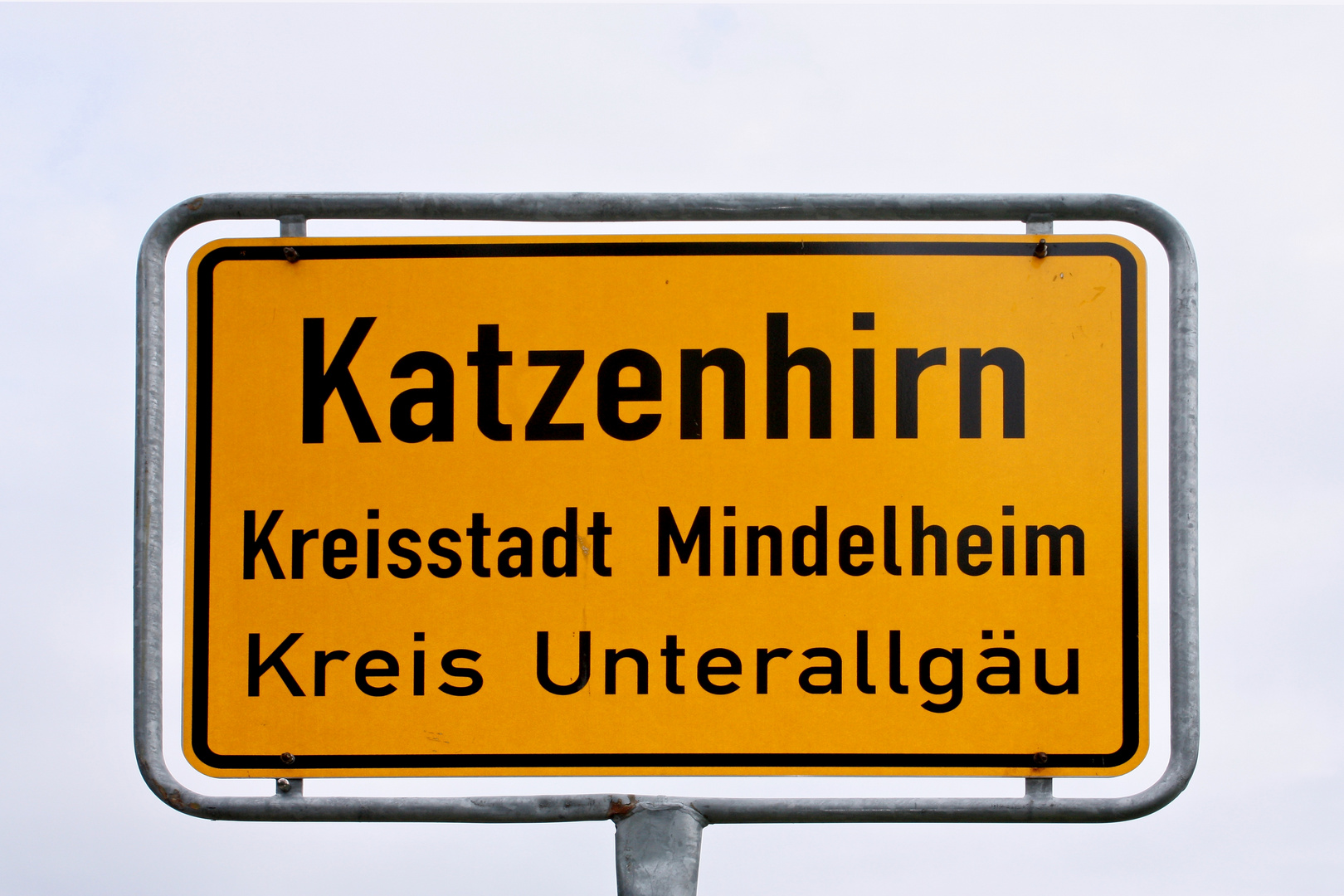 Katzenhirn