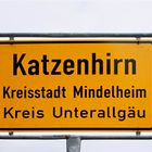 Katzenhirn