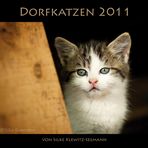 Katzenkalender 2011