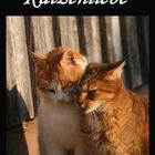 Katzenliebe