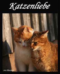 Katzenliebe