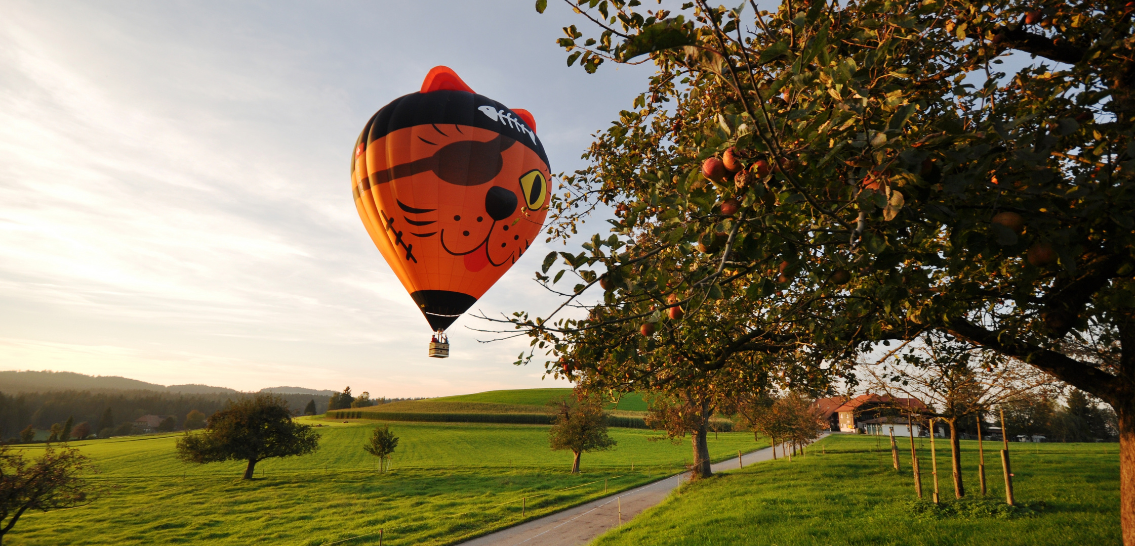 Katzenpirat auf Abendfahrt im Emmental