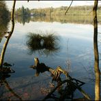 Katzensee 1