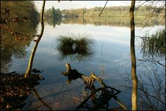 Katzensee 1