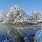 Katzensee