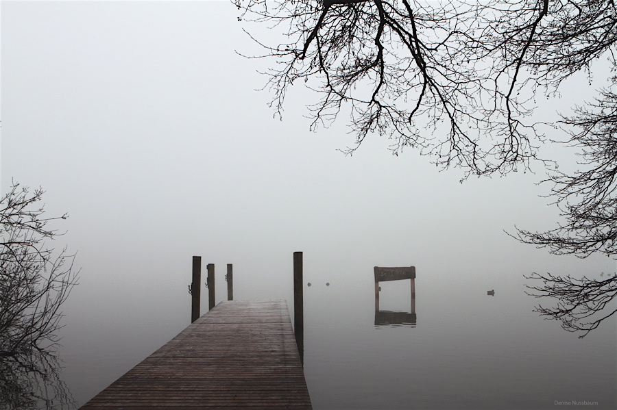 Katzensee bei Nebel