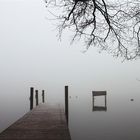 Katzensee bei Nebel