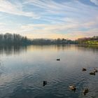 Katzensee Enten