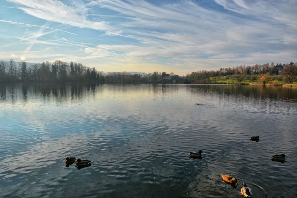 Katzensee II