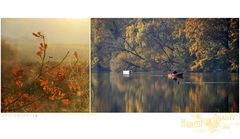 Katzensee III