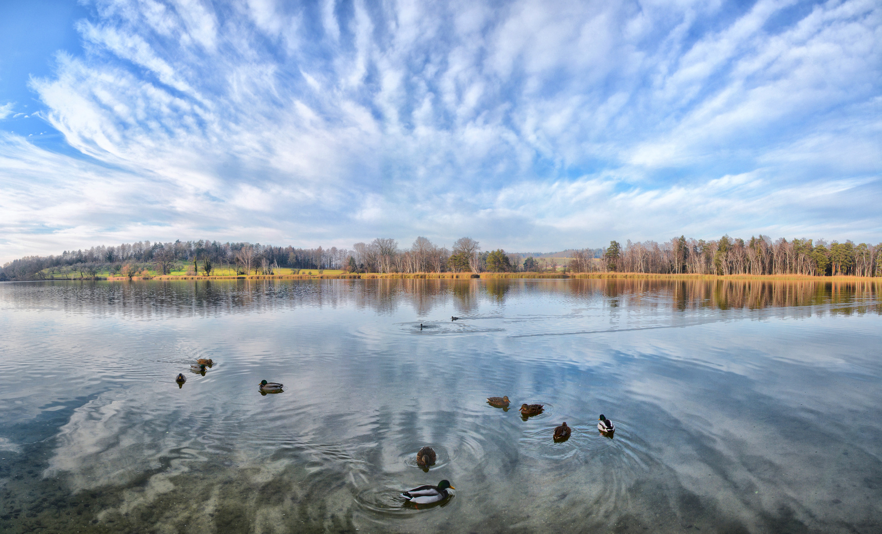 Katzensee oder Entensee?