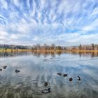 Katzensee oder Entensee?