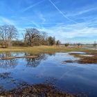 Katzensee Wasser 