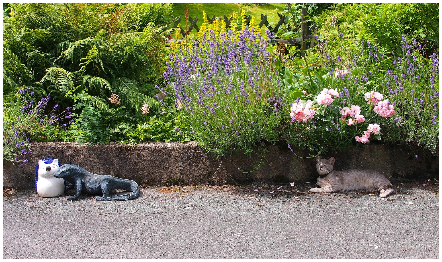 Katzensommer