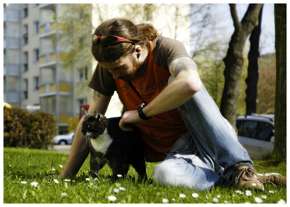 Katzenspaziergang